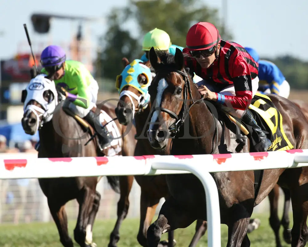 Get Western - The Old Friends Stakes 5Th Running 09-05-19 R09 Kd Inside Finish 01 Kentucky Downs