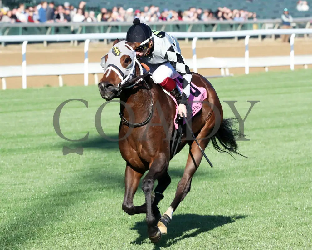 Ghostly Gal - The Tiara Claiming Crown #5 11-16-24 R05 Cd Inside Finish 01 Churchill Downs