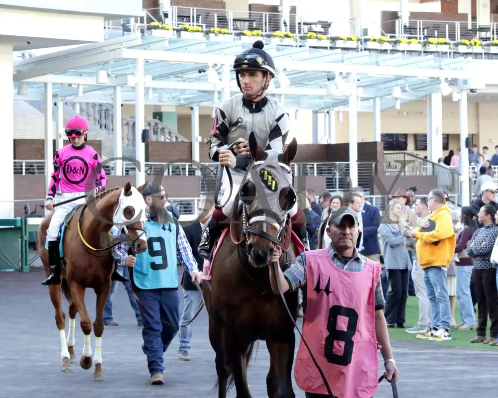 Ghostly Gal - The Tiara Claiming Crown #5 11-16-24 R05 Cd Paddock 01 Churchill Downs