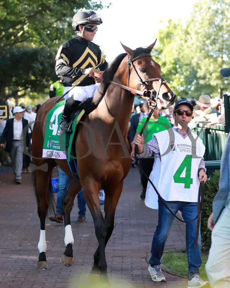 GIN GIN - 100525 - Race 09 - KEE - Paddock 03 Keeneland