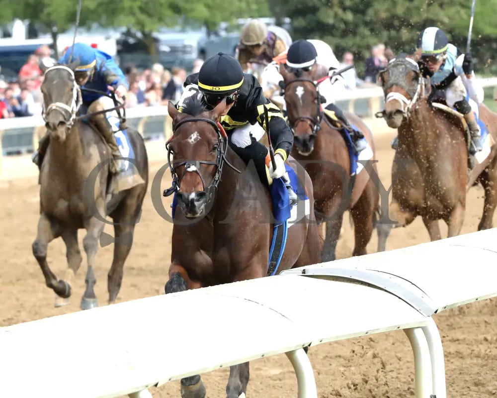 GIN GIN - The Baird Doubledogdare G3 - 04-18-25 - R09 - KEE - Inside Finish 01 Keeneland