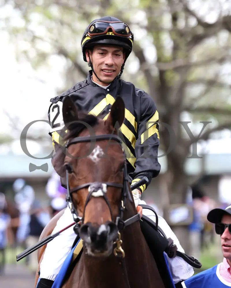 GIN GIN - The Baird Doubledogdare G3 - 04-18-25 - R09 - KEE - Paddock 01 Keeneland