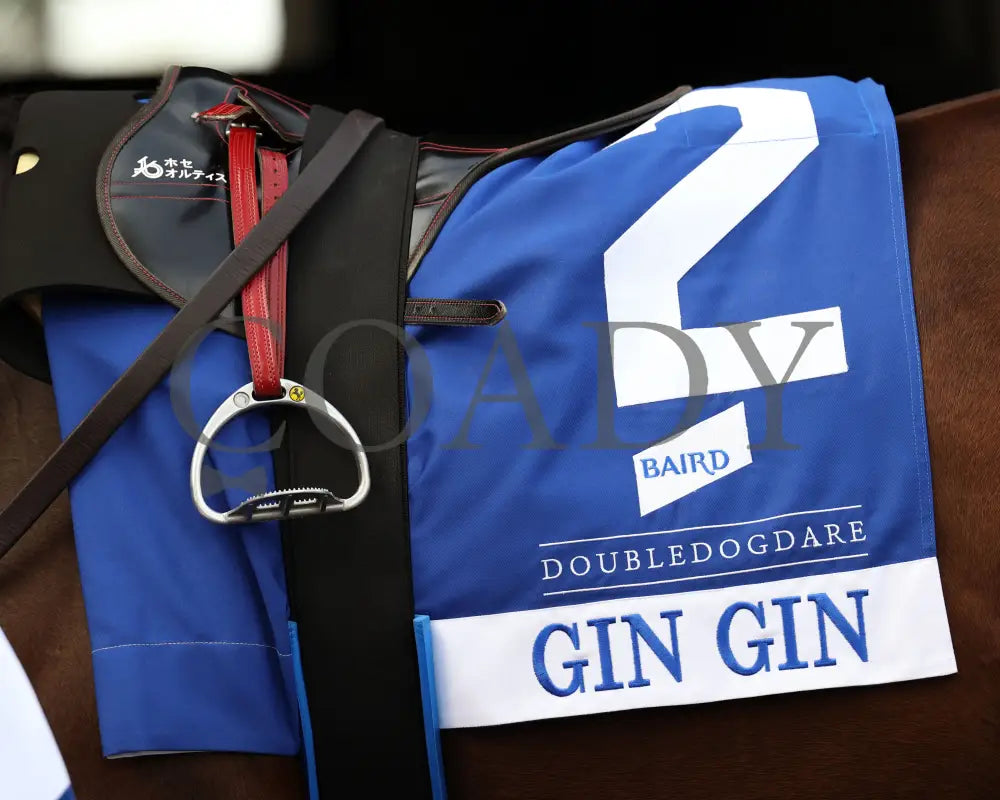GIN GIN - The Baird Doubledogdare G3 - 04-18-25 - R09 - KEE - Paddock 03 Keeneland