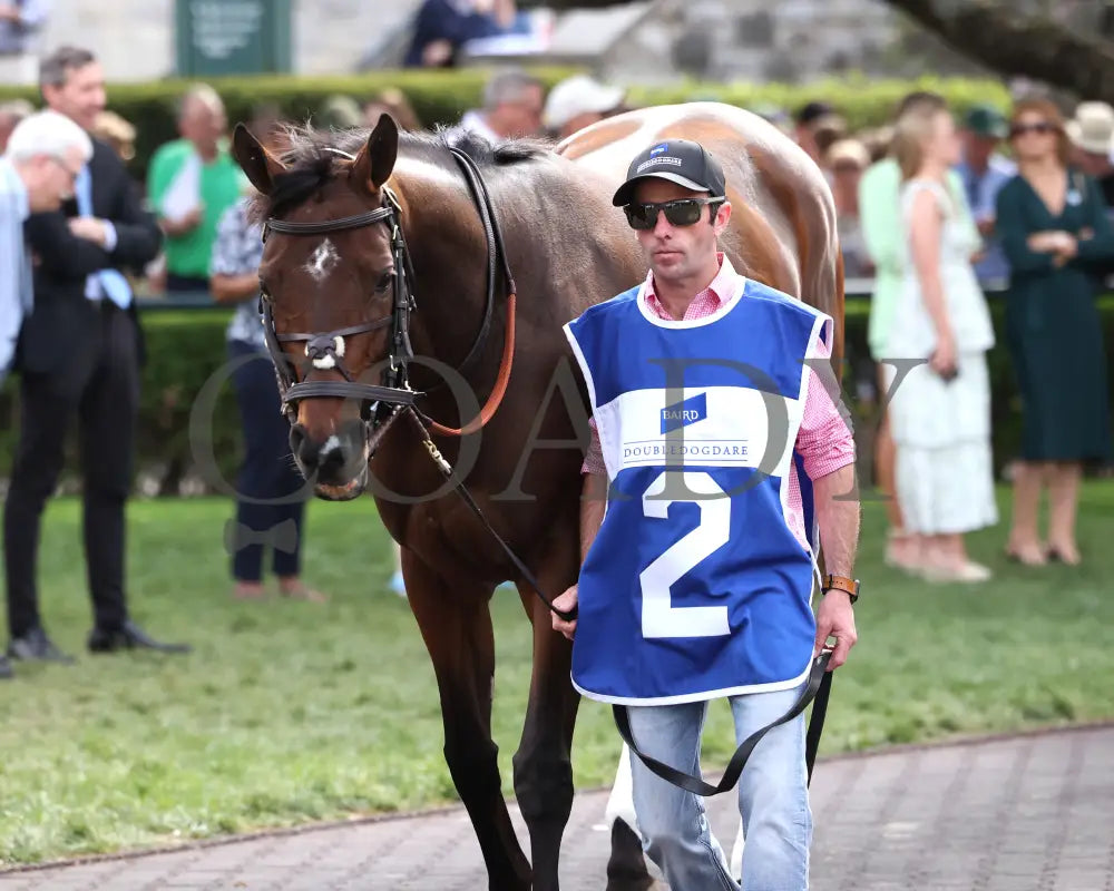 GIN GIN - The Baird Doubledogdare G3 - 04-18-25 - R09 - KEE - Paddock 04 Keeneland