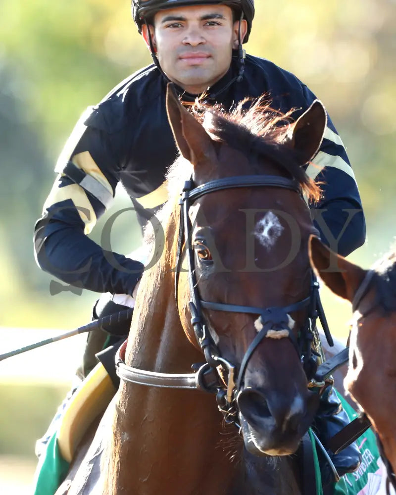 GIN GIN - The Juddmonte Spinster G1 - 70th Running - 10-05-25 - R09 - KEE - Come Back 02 Keeneland