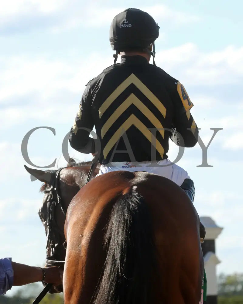 GIN GIN - The Juddmonte Spinster G1 - 70th Running - 10-05-25 - R09 - KEE - Come Back 05 Keeneland