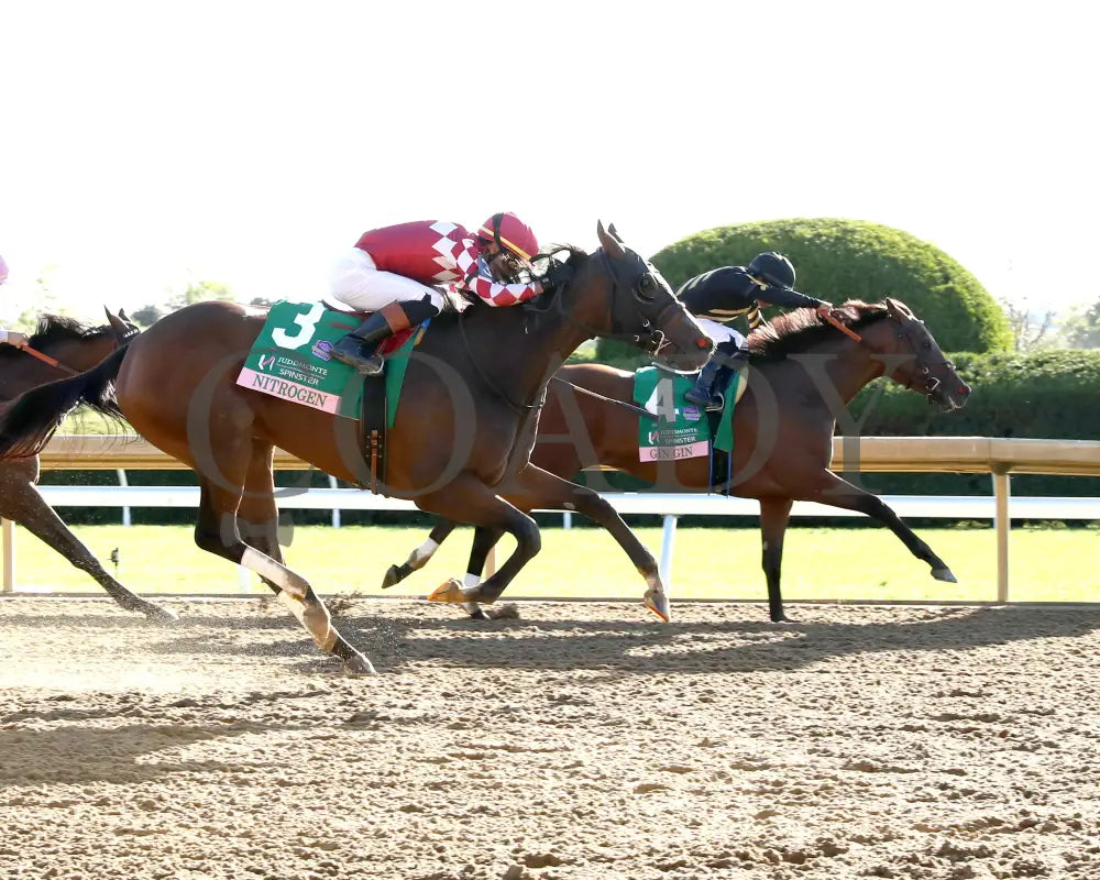 GIN GIN - The Juddmonte Spinster G1 - 70th Running - 10-05-25 - R09 - KEE - Finish 01 Keeneland