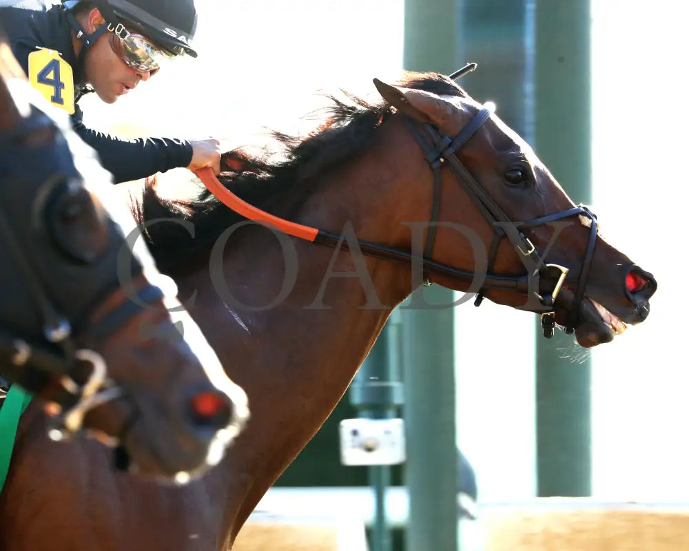 GIN GIN - The Juddmonte Spinster G1 - 70th Running - 10-05-25 - R09 - KEE - Finish 04 Keeneland