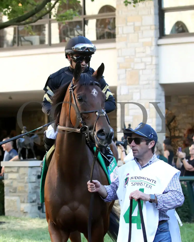 GIN GIN - The Juddmonte Spinster G1 - 70th Running - 10-05-25 - R09 - KEE -Paddock 01 Keeneland