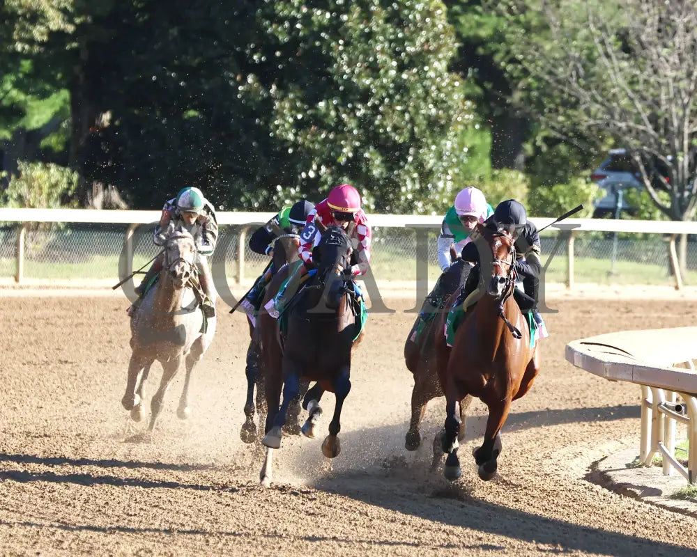 GIN GIN - The Juddmonte Spinster G1 - 70th Running - 10-05-25 - R09 - KEE - Turn 01 Keeneland