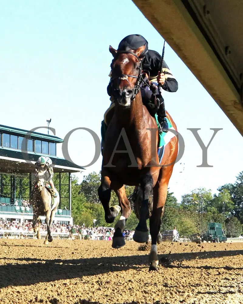 GIN GIN - The Juddmonte Spinster G1 - 70th Running - 10-05-25 - R09 - KEE - Under Rail 02 Keeneland
