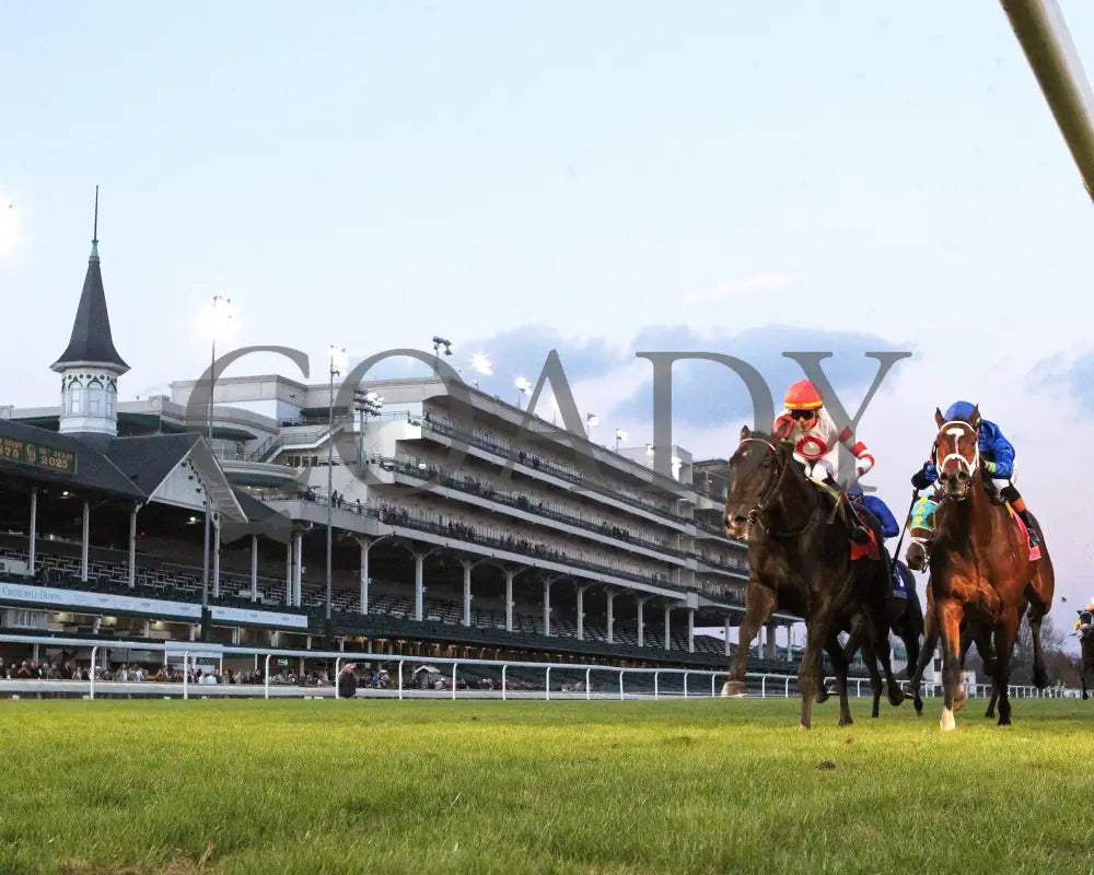 GIOCOSO - 112225 - Race 10 - CD - Under Rail 01 - Coady Media - Kurtis Coady Photography