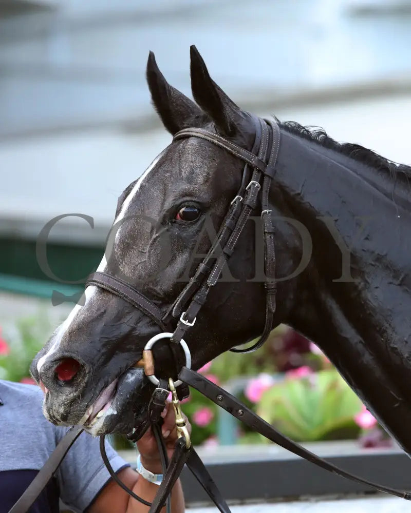 Girl Daddy - Pocahontas G3 52Nd Running 09-03-20 R10 Cd Post Race 03 Churchill Downs