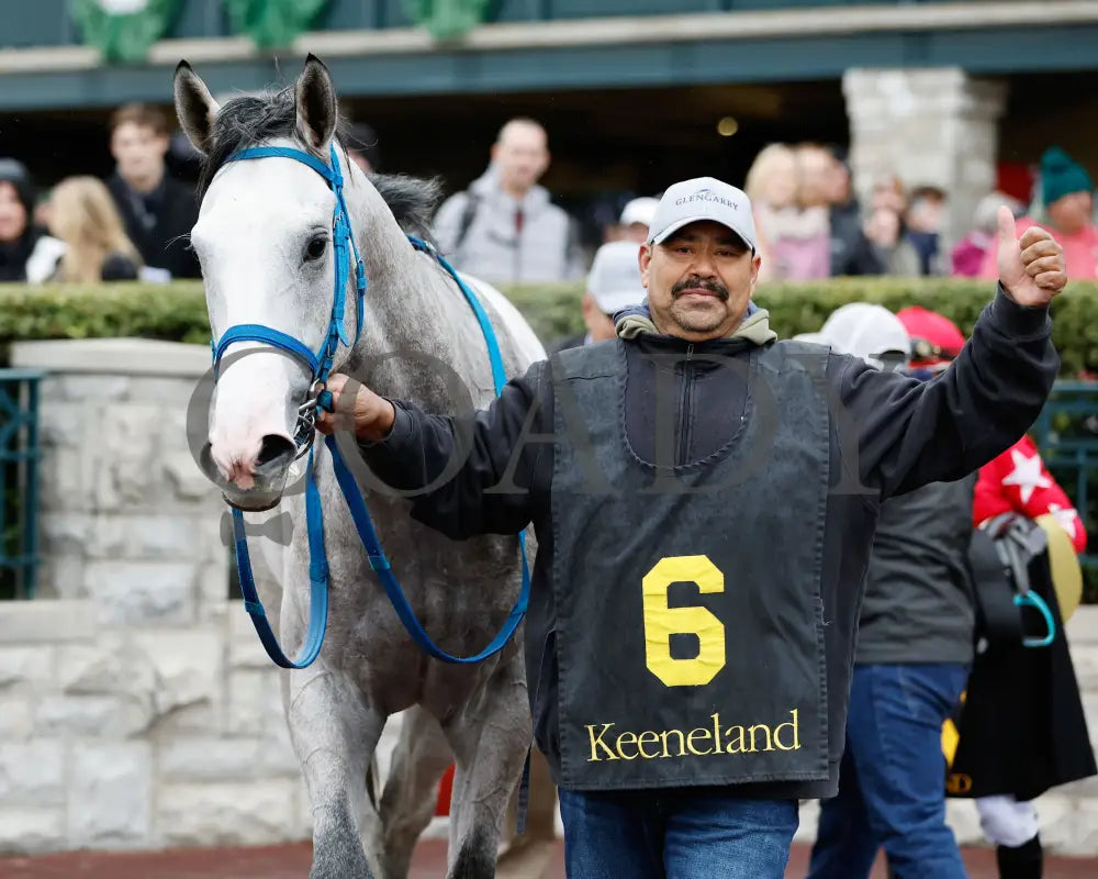 Glengarry - Lafayette Stakes 04 - 05 - 24 R06 Kee Come Back 01 Keeneland