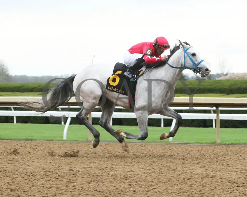 Glengarry - Lafayette Stakes 04 - 05 - 24 R06 Kee Finish 01 Keeneland