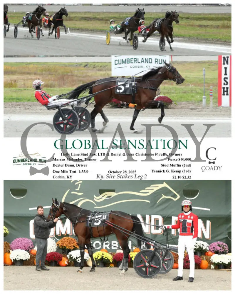 GLOBAL SENSATION - 102825 - Race 03 - CMR Presque Isle Downs
