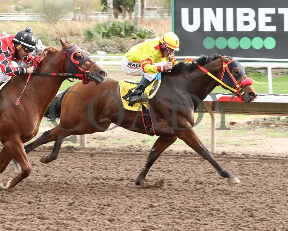 Go Seis Jr - Wayne Brasher Memorial Stakes 02-07-24 R02 Turf Paradise Finish