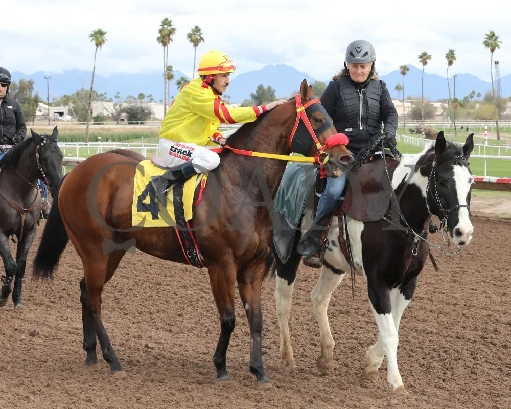 Go Seis Jr - Wayne Brasher Memorial Stakes 02-07-24 R02 Turf Paradise Post Parade