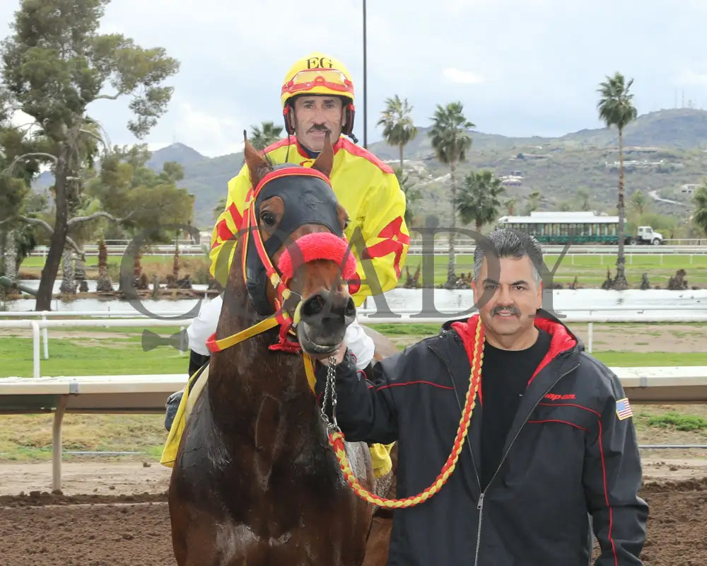 Go Seis Jr - Wayne Brasher Memorial Stakes 02-07-24 R02 Turf Paradise Return Shot