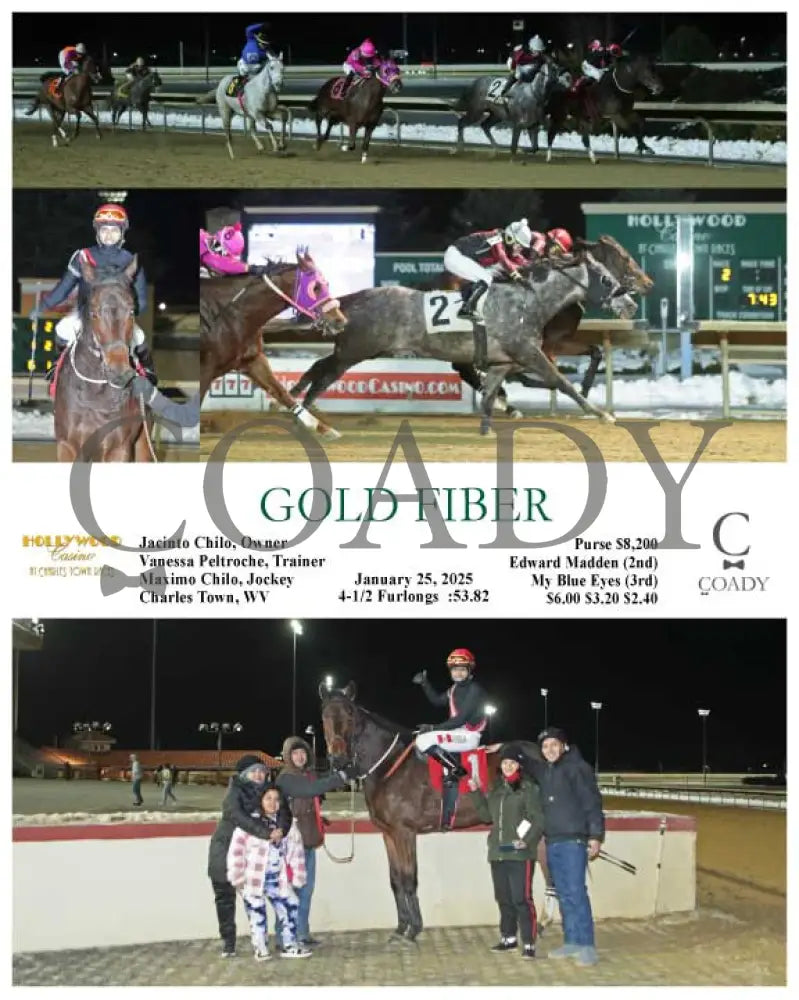Gold Fiber - 01-25-25 R02 Ct Hollywood Casino At Charles Town Races
