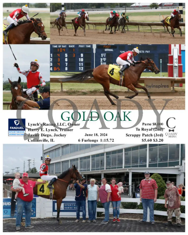 Gold Oak - 06-18-24 R01 Fan Fanduel Sportsbook Horse Racing