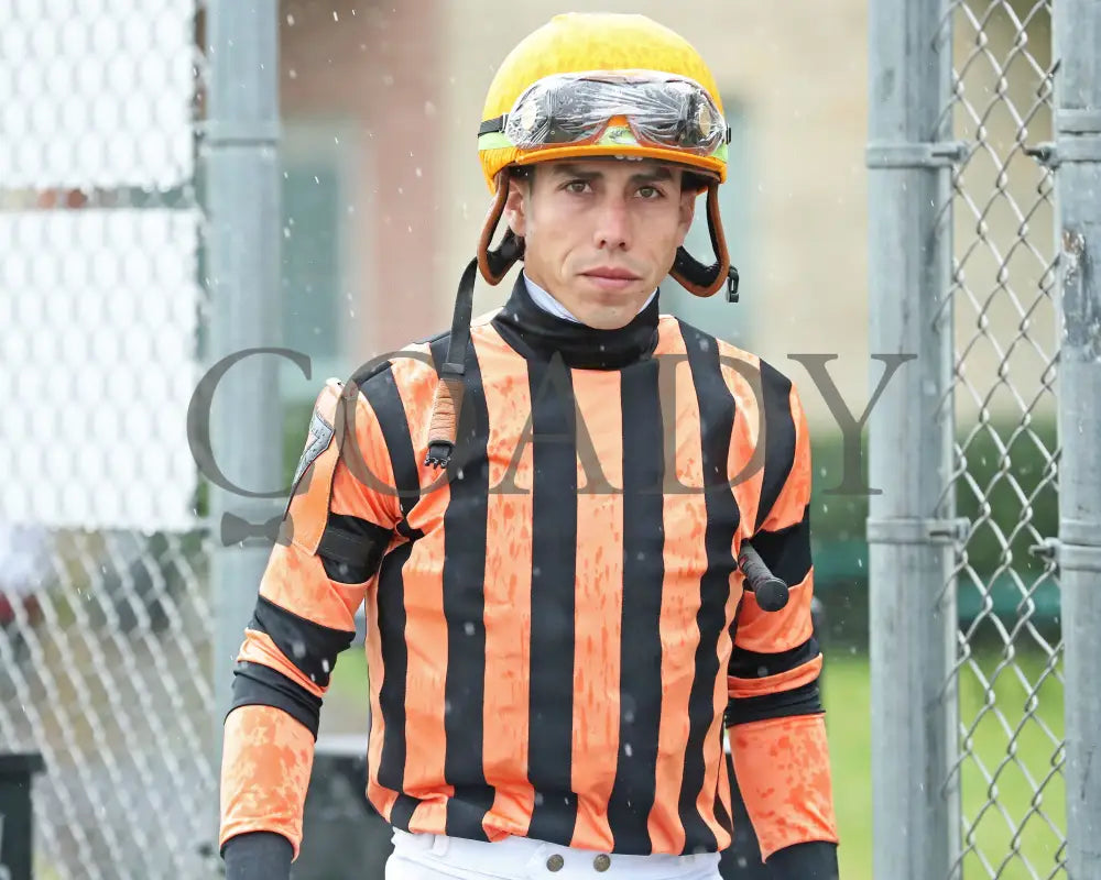 GOLDEN AFTERNOON - The Tom Ridge Stakes - 19th Running - 06-30-25 - R07 - PID - Jockey - Irad Ortiz Jr. Presque Isle