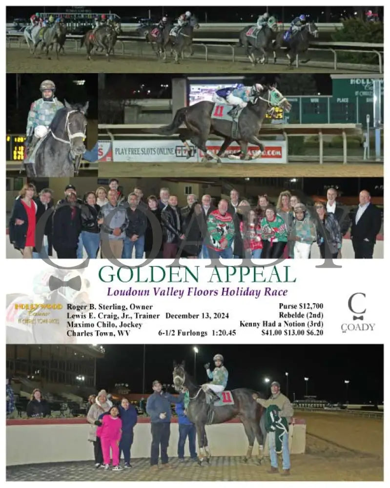 Golden Appeal - Loudoun Valley Floors Holiday Race 12-13-24 R03 Ct Hollywood Casino At Charles Town