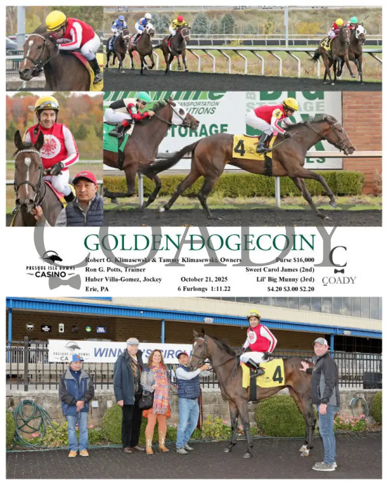 GOLDEN DOGECOIN - 10-21-25 - R02 - PID Presque Isle Downs