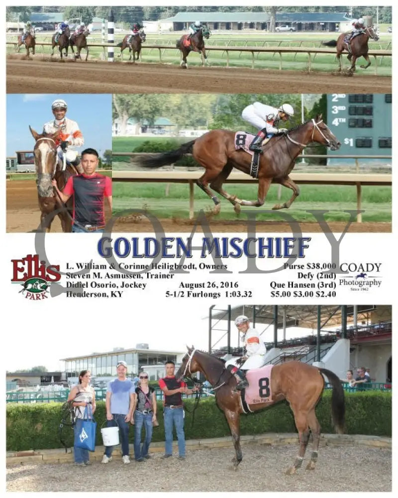 Golden Mischief - 082616 Race 07 Elp Ellis Park