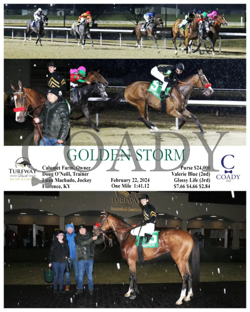 Golden Storm - 02-22-24 R02 Tp Turfway Park
