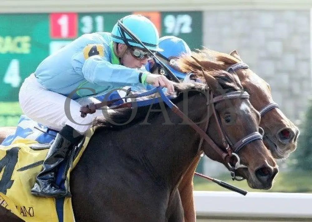 Goldrush Girl - 2 102911 Race 04 Keeneland