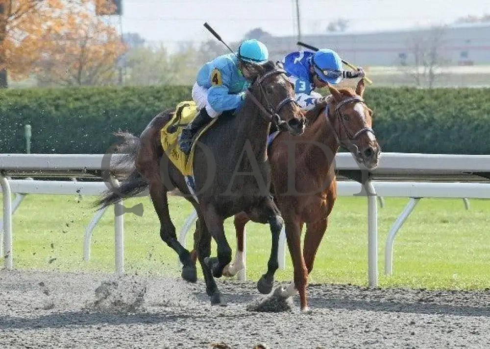 Goldrush Girl - 3 102911 Race 04 Keeneland