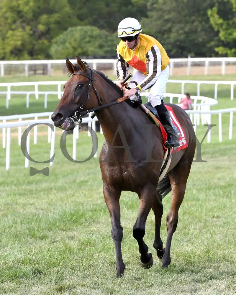Goliad - The Sticker Mule Overnight Handicap 09-01-24 R09 Kd Come Back 01 Kentucky Downs