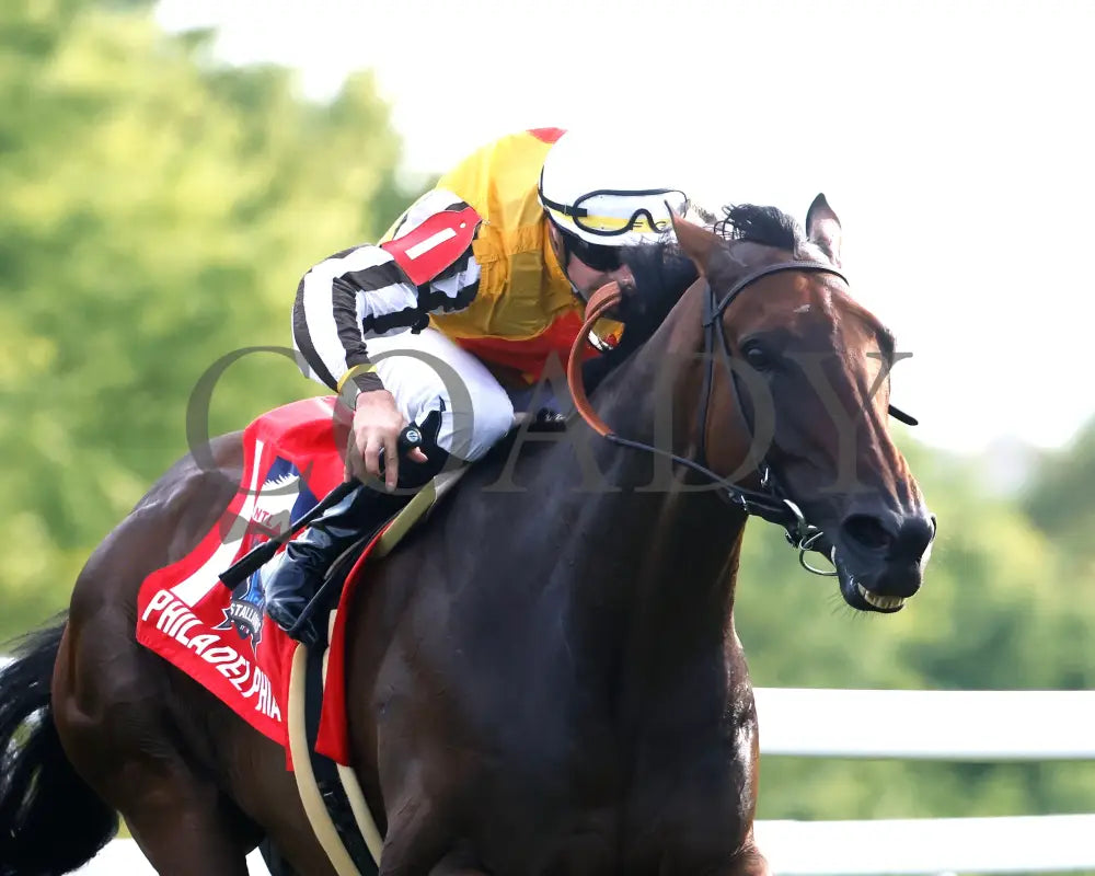 Goliad - The Sticker Mule Overnight Handicap 09-01-24 R09 Kd Finish 03 Kentucky Downs