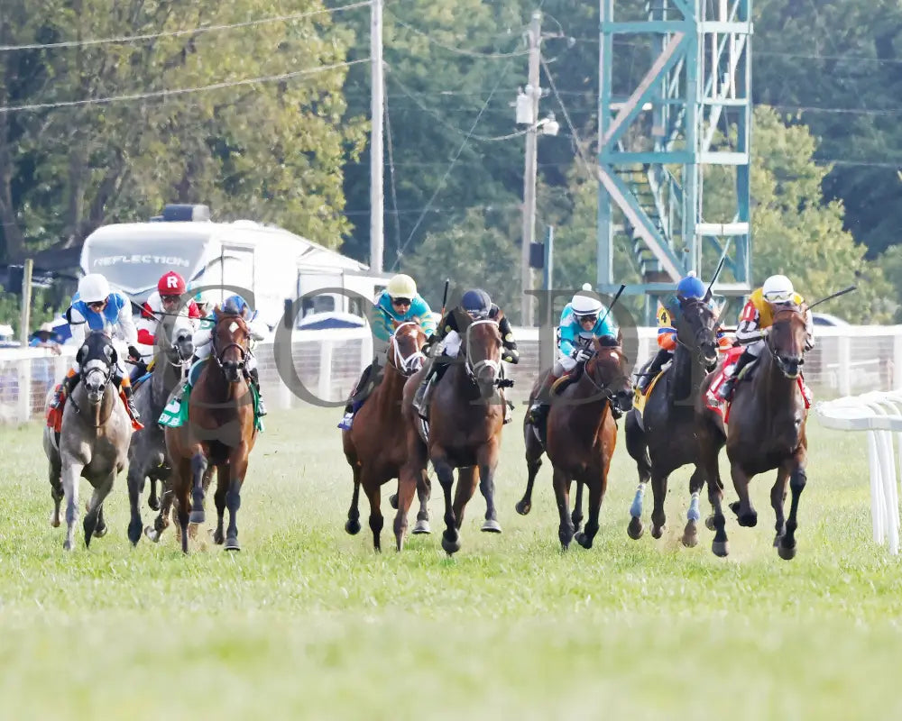 Goliad - The Sticker Mule Overnight Handicap 09-01-24 R09 Kd Head On 01 Kentucky Downs