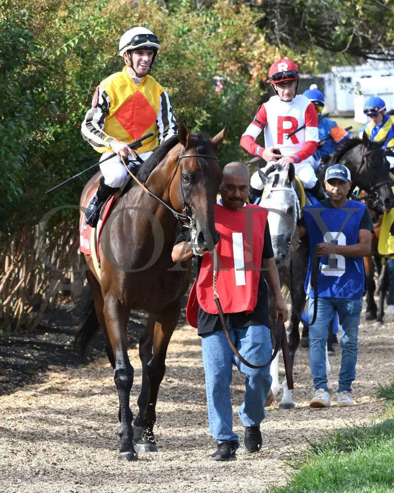 Goliad - The Sticker Mule Overnight Handicap 09-01-24 R09 Kd Paddock 02 Kentucky Downs