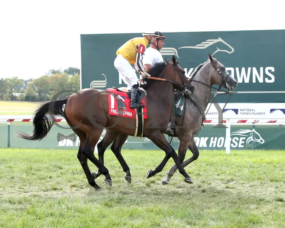 Goliad - The Sticker Mule Overnight Handicap 09-01-24 R09 Kd Post Parade 02 Kentucky Downs