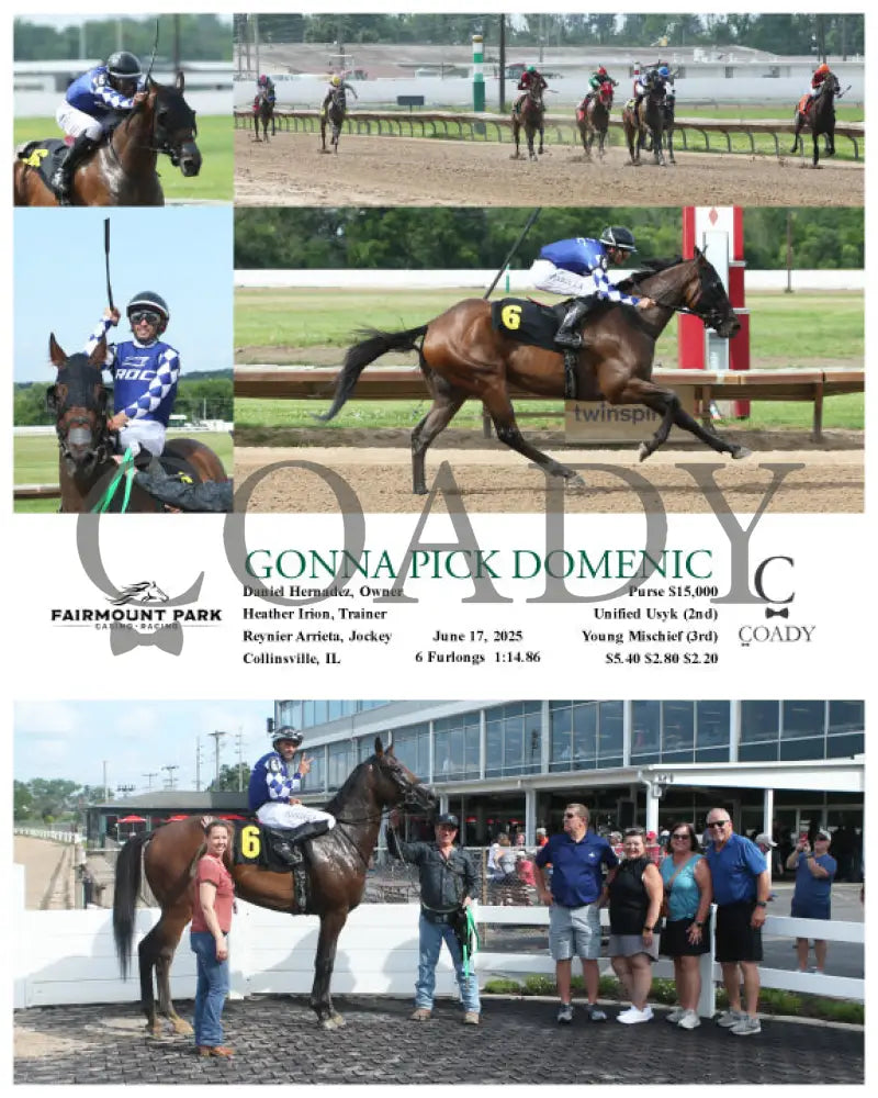 GONNA PICK DOMENIC - 06-17-25 - R08 - FP Fanduel Sportsbook Horse Racing