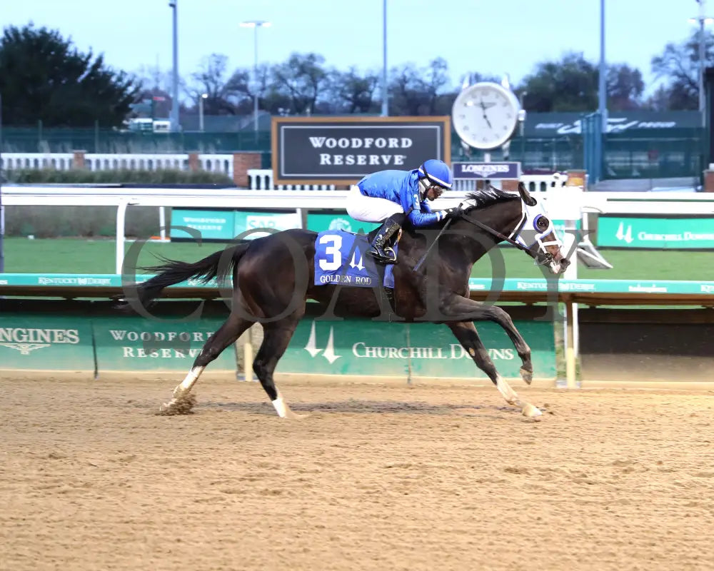 Good Cheer - The Golden Rod G2 11-30-24 R09 Cd Finish 01 Churchill Downs