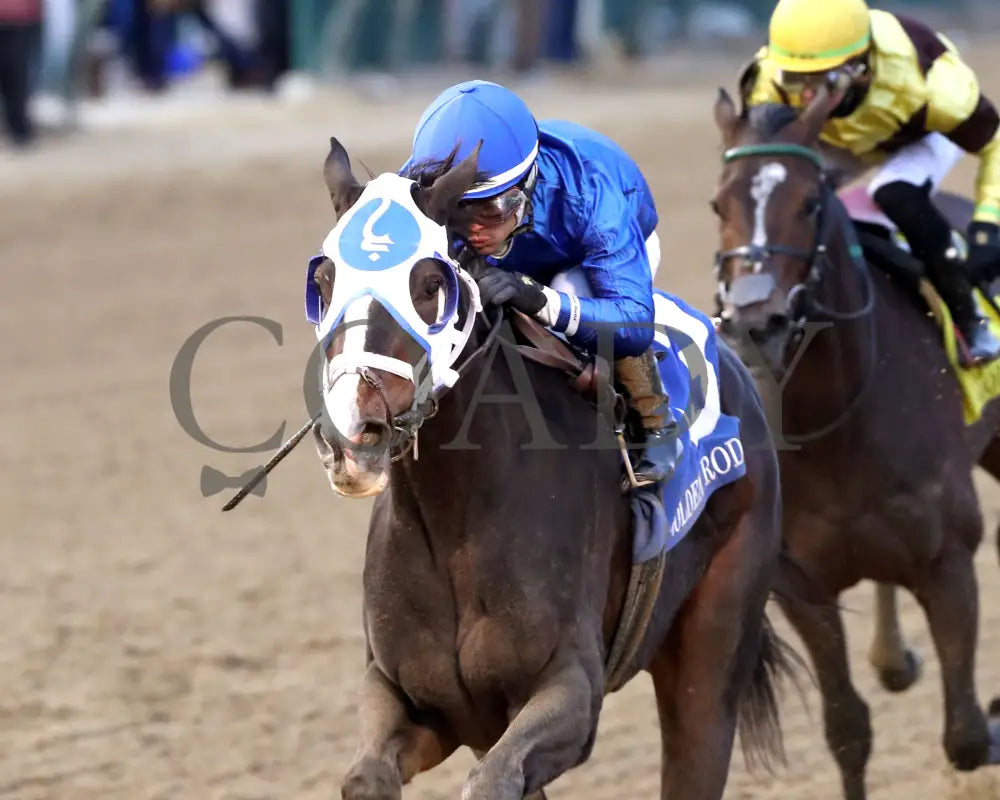 Good Cheer - The Golden Rod G2 11-30-24 R09 Cd Inside Finish 01 Churchill Downs