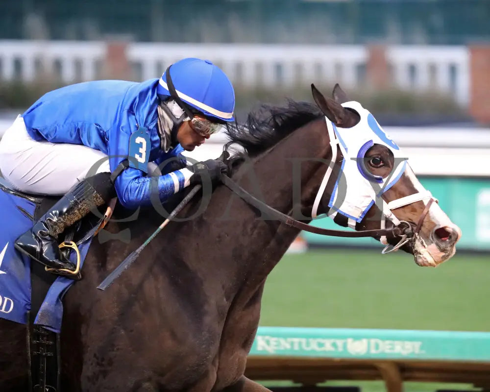 Good Cheer - The Golden Rod G2 11-30-24 R09 Cd Tight Finish 01 Churchill Downs