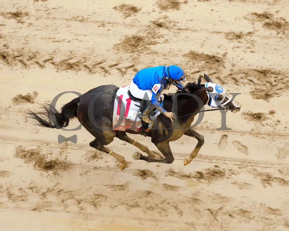GOOD CHEER - The Longines Kentucky Oaks G1 - 151st Running - 05-02-25 - R11 - CD - Aerial Finish 01 Churchill Downs