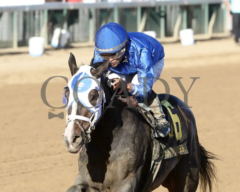 Good Cheer - The Rags To Riches 10-27-24 R09 Cd Inside Finish 01 Churchill Downs