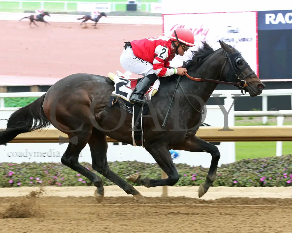 GOODLOOKINJUSTICE - The Gary Patrick Overnight Handicap - 10-25-25 - R02 - Horseshoe Indiana - Tight Finish 01 - Devin
