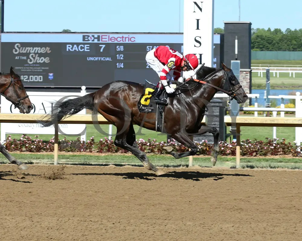 Goodloookinjustice - Hoosier Breeders Sophomore Handicap 15Th Running 06-12-24 R07 Horseshoe