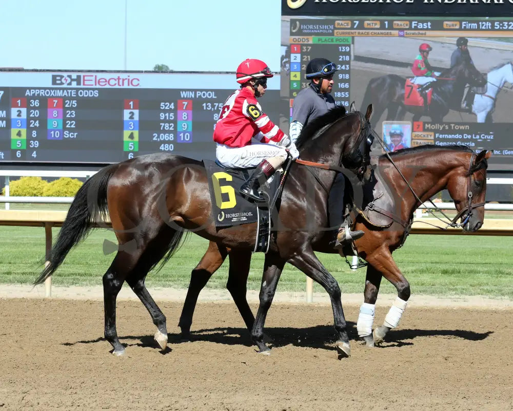 Goodloookinjustice - Hoosier Breeders Sophomore Handicap 15Th Running 06-12-24 R07 Horseshoe