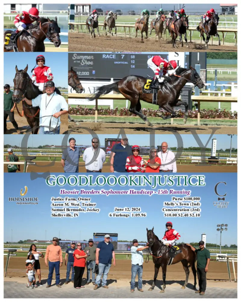 Goodloookinjustice - Hoosier Breeders Sophomore Handicap 15Th Running 06-12-24 R07 Ind Indiana Grand