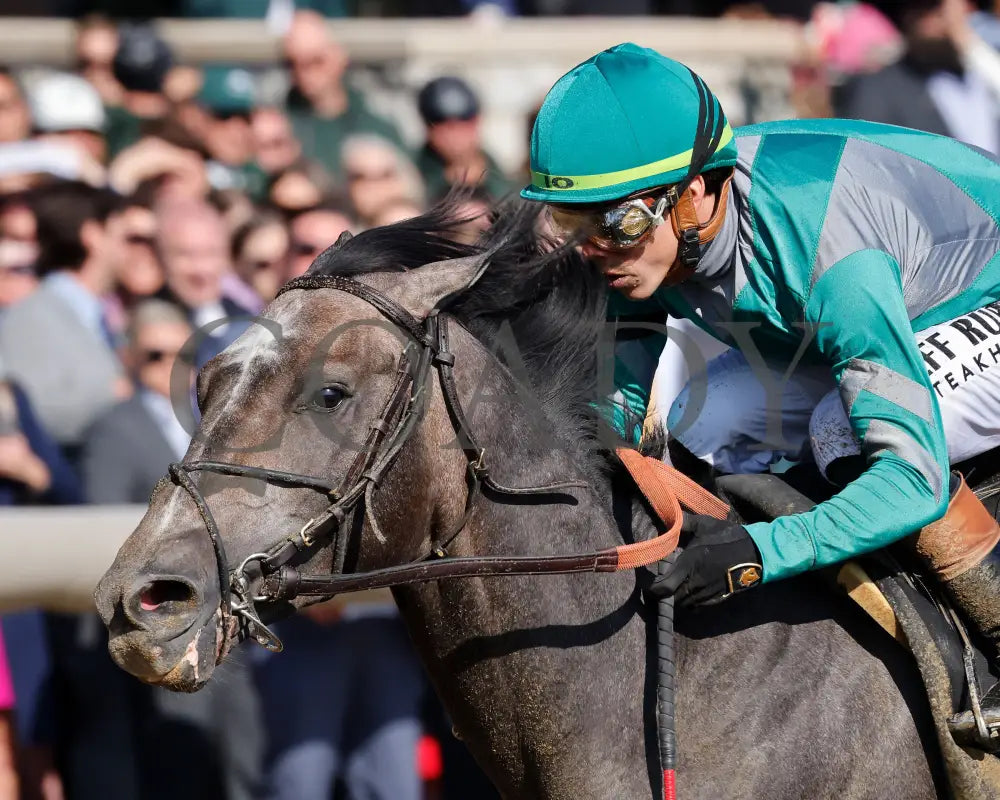 GOSGER - The Stonestreet Lexington G3 - 04-12-25 - R09 - KEE - Inside Finish 02 Keeneland