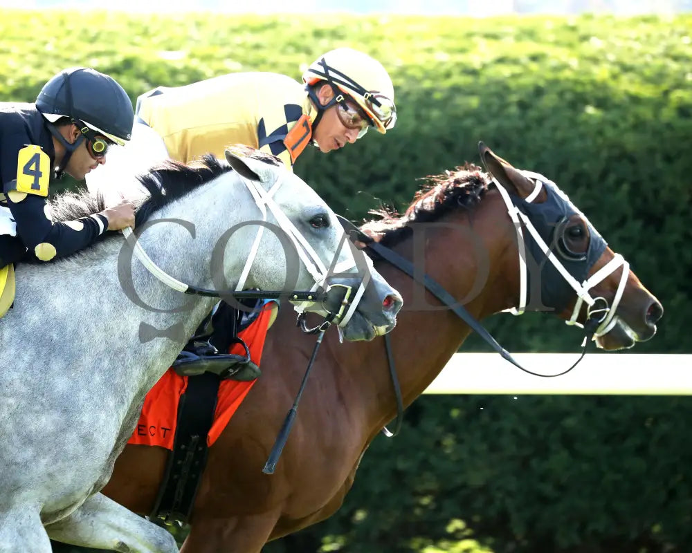 Governor Sam - 100624 Race 08 Kee The Indian Summer Finish 03 Keeneland