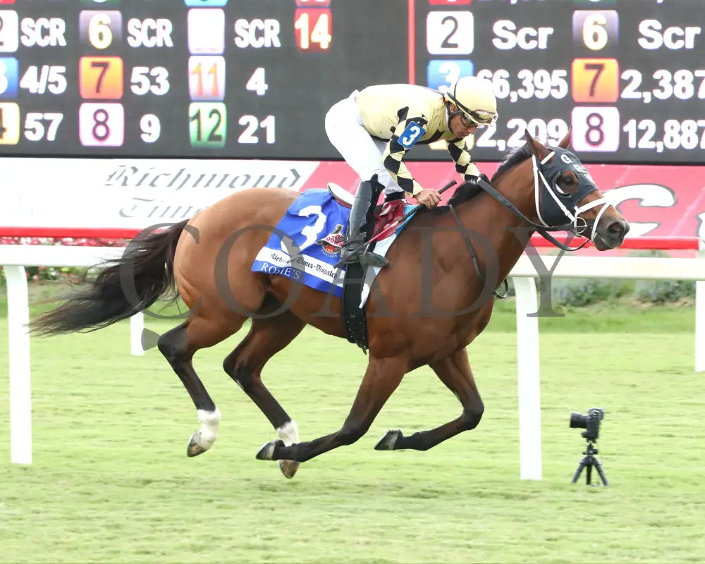 Governor Sam - The Richmond Times-Dispatch Rosie’s Stakes 09-07-24 R06 Cnl Finish 04 Colonial Downs
